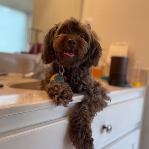 Meet your Posher, Eva